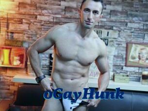 0GayHunk