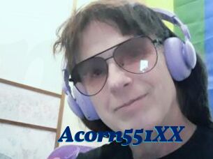 Acorn551XX