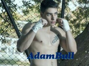 AdamBull