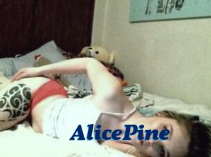 AlicePine