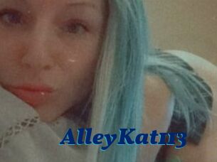 AlleyKat113