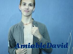 AmiableDavid