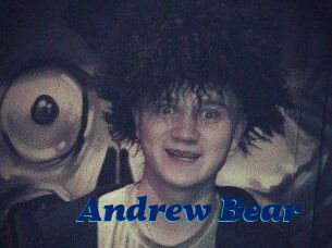 Andrew_Bear