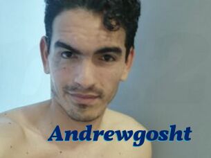 Andrewgosht