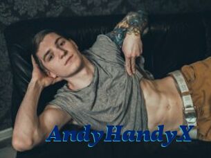 AndyHandyX