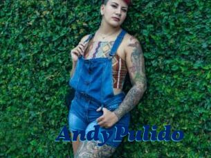 AndyPulido