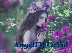 AngelFlyLaVid