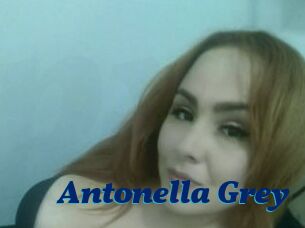 Antonella_Grey