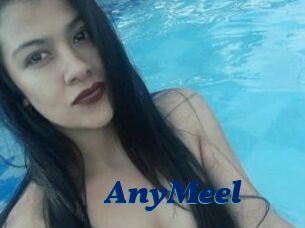 AnyMeel