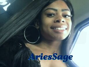 AriesSage