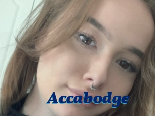 Accabodge