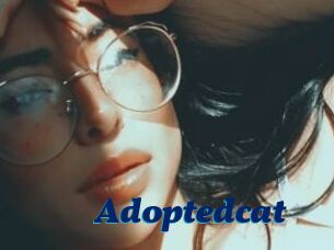 Adoptedcat