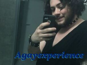 Agayexperience