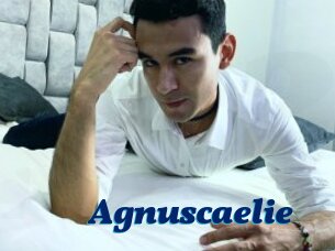 Agnuscaelie