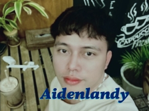 Aidenlandy