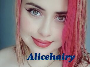 Alicehairy