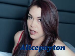 Alicepayton