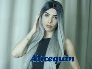 Alicequin