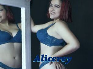 Alicerey