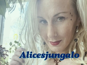 Alicesjungalo