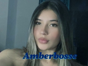 Amberbosse