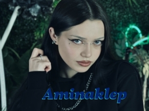 Aminaklep