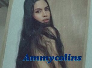 Ammycolins