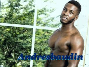 Andresbaudin