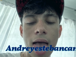 Andreyestebancam