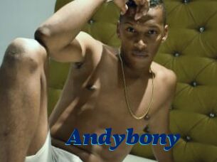 Andybony