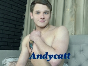 Andycatt