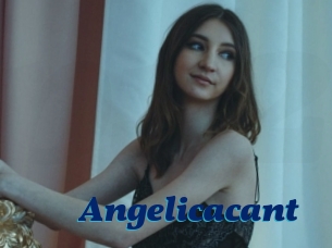 Angelicacant