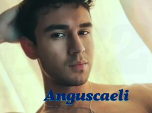 Anguscaeli