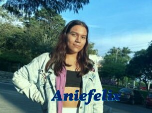 Aniefelix