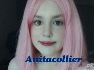 Anitacollier