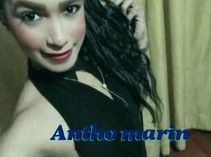 Antho_marin