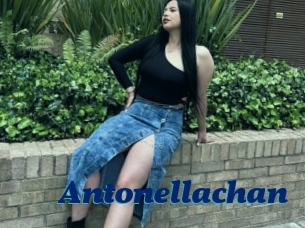 Antonellachan