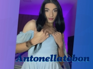 Antonellatobon