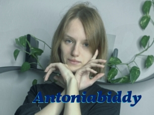 Antoniabiddy