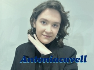 Antoniacavell