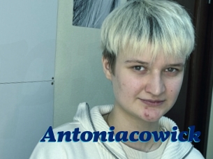 Antoniacowick