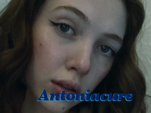 Antoniacure