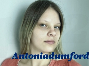 Antoniadumford