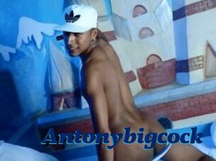 Antonybigcock