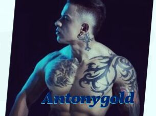 Antonygold