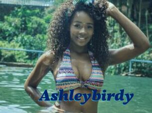 Ashleybirdy