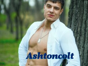 Ashtoncolt