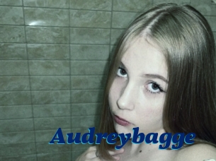 Audreybagge