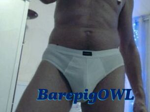 BarepigOWL