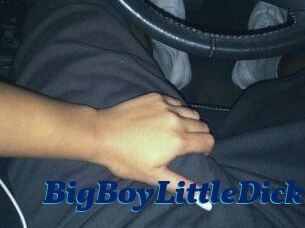 BigBoyLittleDick